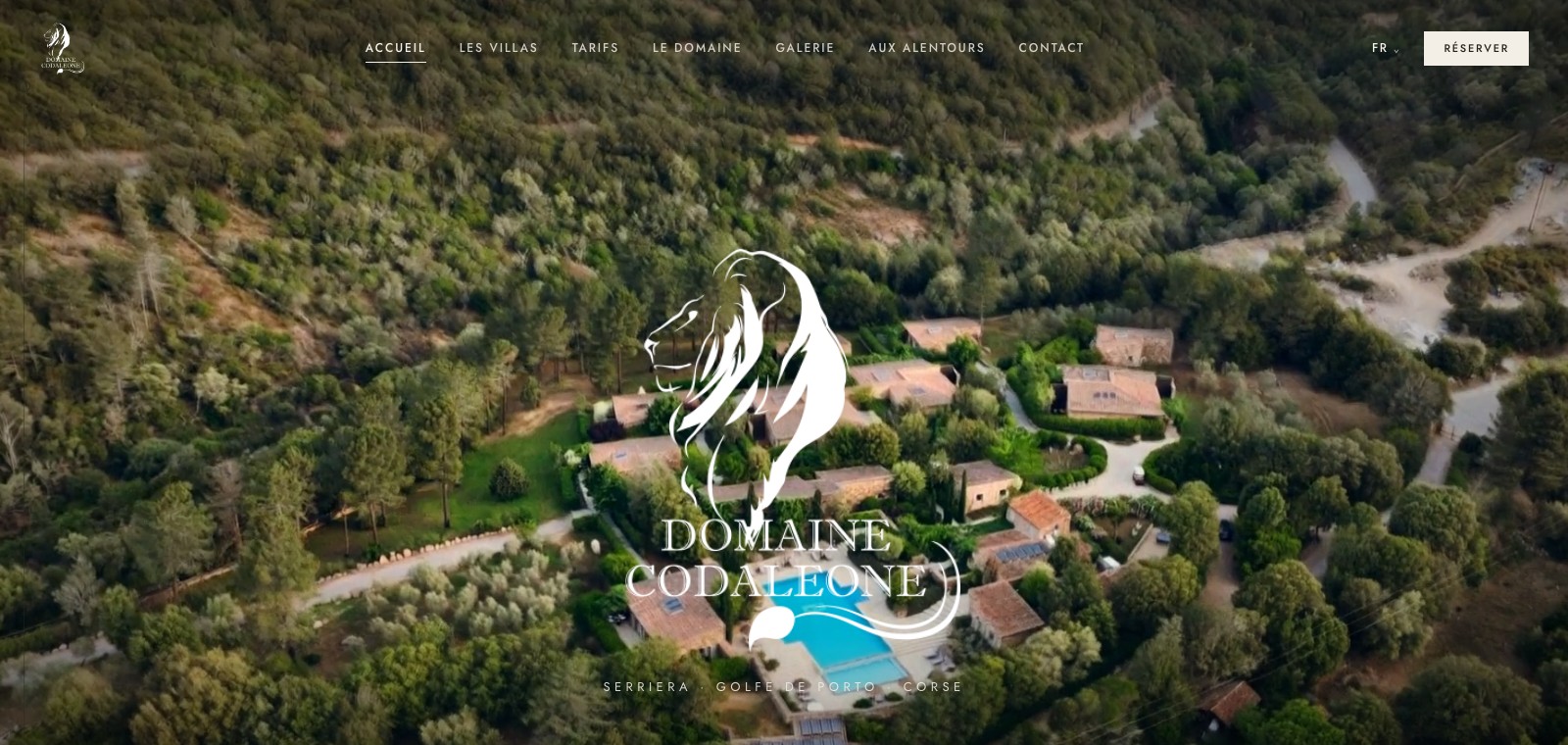Page d'accueil du site Codaleone, telle que consultable en ligne aujourd'hui.